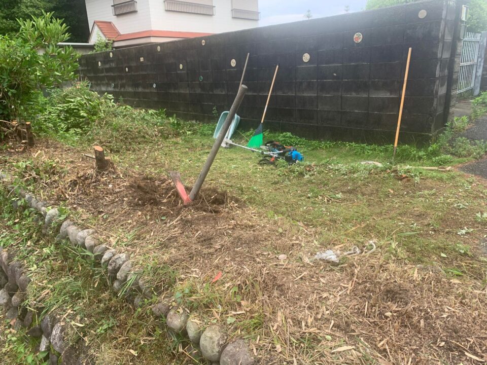 大塚さんの協生農園から頂いたお茶の木を植えるために笹をカットし地下茎を掘り起こします。